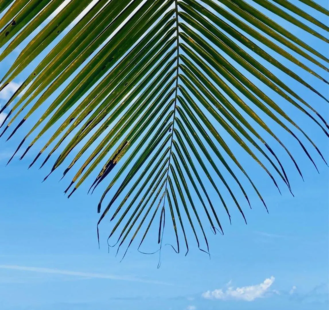 Caribbean Escape Coco & Mango Apartamento Sandy Ground